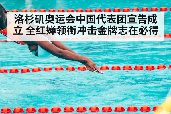 洛杉矶奥运会中国代表团宣告成立 全红婵领衔冲击金牌志在必得